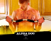 alpha_dog_wallpaper_1
