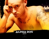 alpha_dog_wallpaper_11