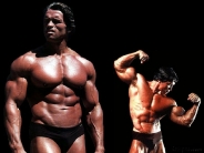 arnold_schwarzenegger_wallpaper_48