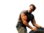 arnold_schwarzenegger_wallpaper_78