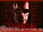 arnold_schwarzenegger_wallpaper_84