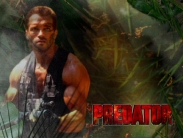 arnold_schwarzenegger_wallpaper_86