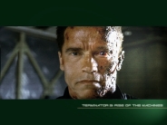 arnold_schwarzenegger_wallpaper_88