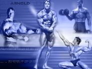 arnold_schwarzenegger_wallpaper_93