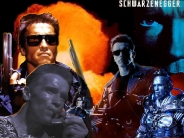 arnold_schwarzenegger_wallpaper_96