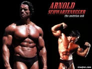 arnold_schwarzenegger_wallpaper_97