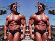 arnold_schwarzenegger_wallpaper_99