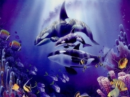 whale_wallpaper_6