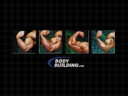 bodybuilding_wallpaper_24