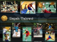 handball_wallpaper_45