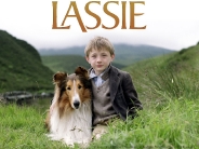lassie_wallpaper_1