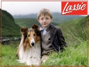 lassie_wallpaper_10