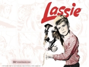 lassie_wallpaper_14
