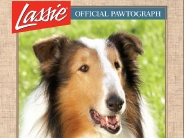 lassie_wallpaper_16