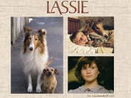 lassie_wallpaper_23