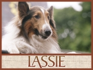 lassie_wallpaper_3