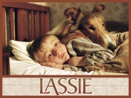 lassie_wallpaper_6