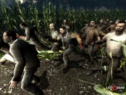 cornfield-infected-1600