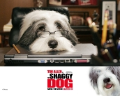 the_shaggy_dog_wallpaper_5
