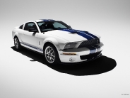 shelby_wallpaper_10