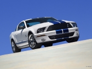 shelby_wallpaper_12