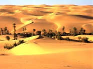 desert_wallpaper_23