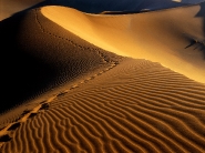 desert_wallpaper_29