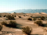 desert_wallpaper_32