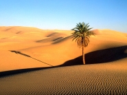 desert_wallpaper_33