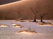 desert_wallpaper_46