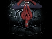 SpidermanWallpaper(3)