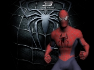 SpidermanWallpaper(35)