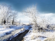 teli_winter_hatterkepek_27