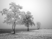 teli_winter_hatterkepek_31