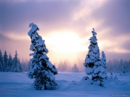 teli_winter_hatterkepek_52