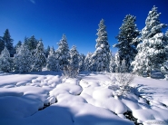 teli_winter_hatterkepek_53