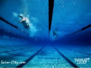 swimming_wallpaper_34