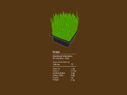 Grass