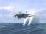 fighter over water