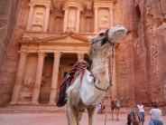 jordan-petra-treasury-camel