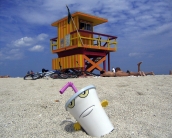 master shake beach